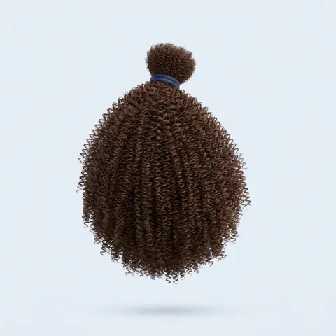 Ciocca di capelli crespi / afro